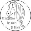 Logo of the association Association les amis de Kémo